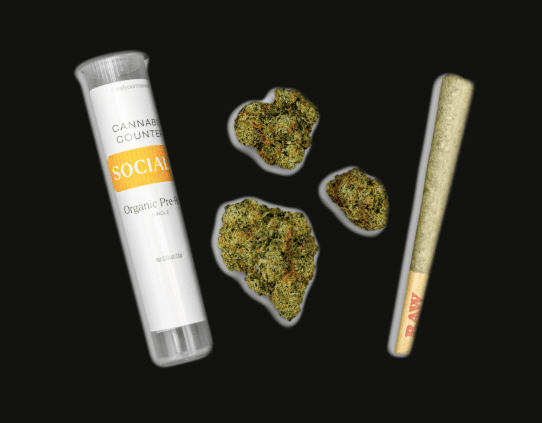 Cannabis Counter Purple Haze 1g Pre-Roll
