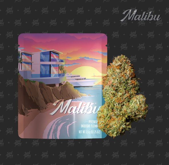 Seed Junky - Flower - Malibu 3.5G