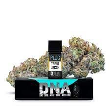 PLUGplay DNA Plugs Vape Trainwreck Pod 1g