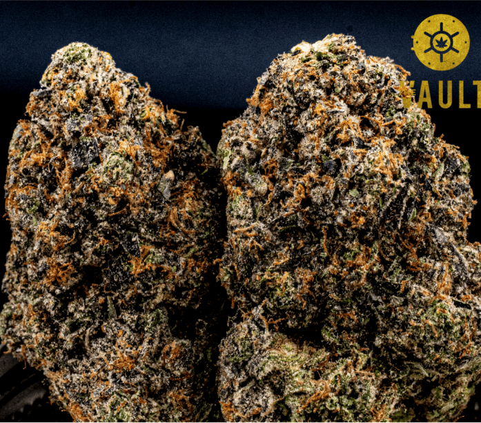 AAAA+ | Pluto- New Gas City