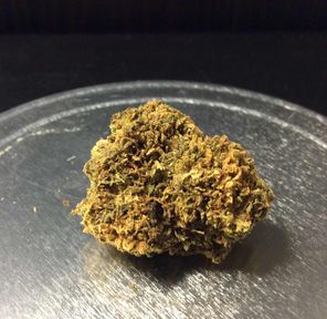 Dawg Breath by M.A.T. Wellness