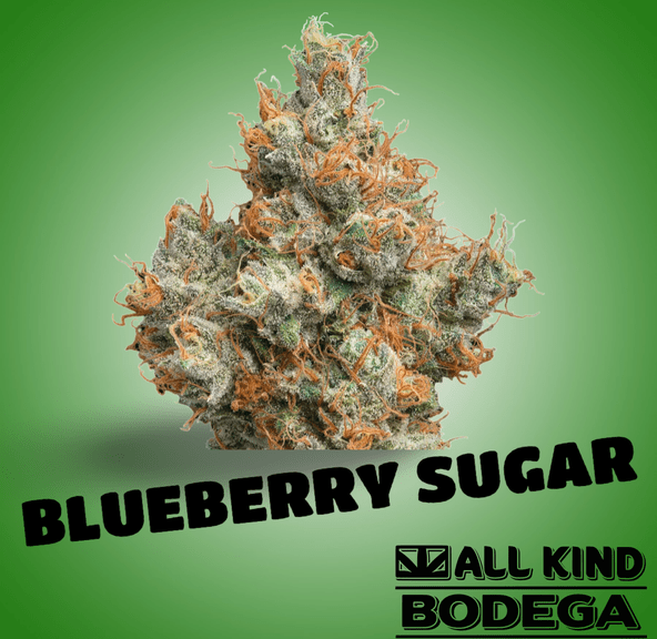 Blueberry Sugar 3.5g Flower (@flamingomaine)