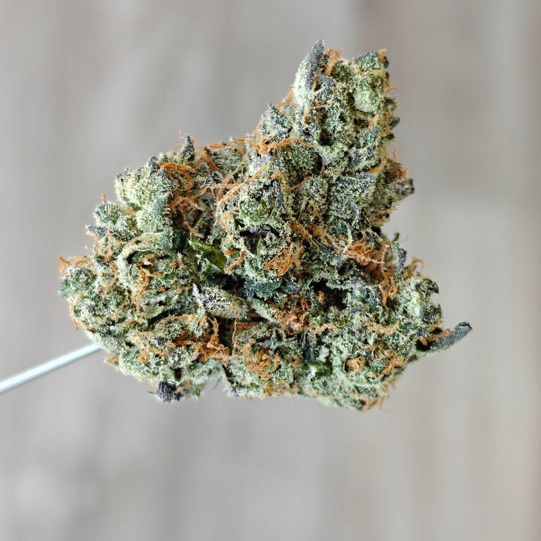 Sour Sage OG
