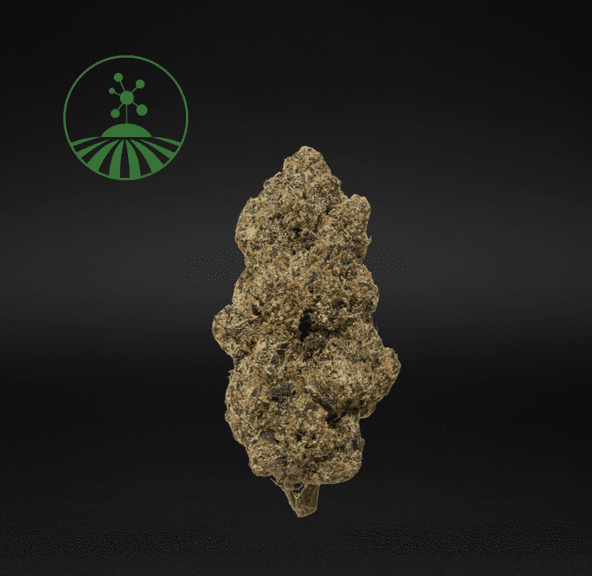 Molecular Farms | Lemon Cherry Gelato - Flower | 3.5g | Hybrid
