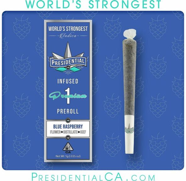 PRESIDENTIAL-BLUNT-1.5G-BLUE RASPBERRY