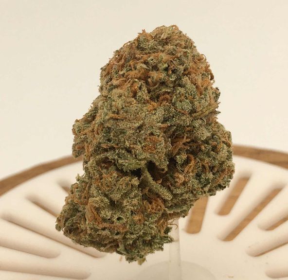 Chappy (flower)