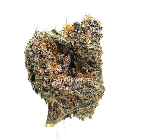 Garlic Sherbet | $100/oz