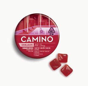 Camino Wild Cherry "Exhilarate" Gummies 72.00 g