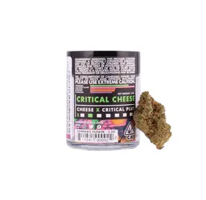 Critical Cheese
