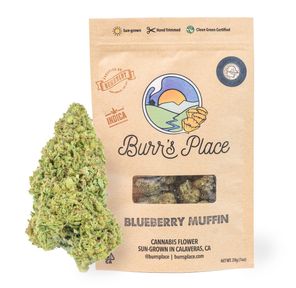 Burr's Place 28g Blueberry Muffin $80