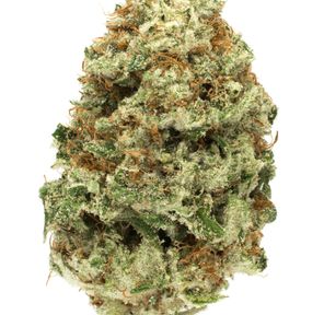 ** West Coast Cure - Grapefruit (3.5g)