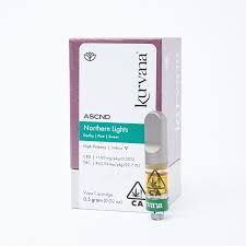 ASCND-Northern Lights (1g)