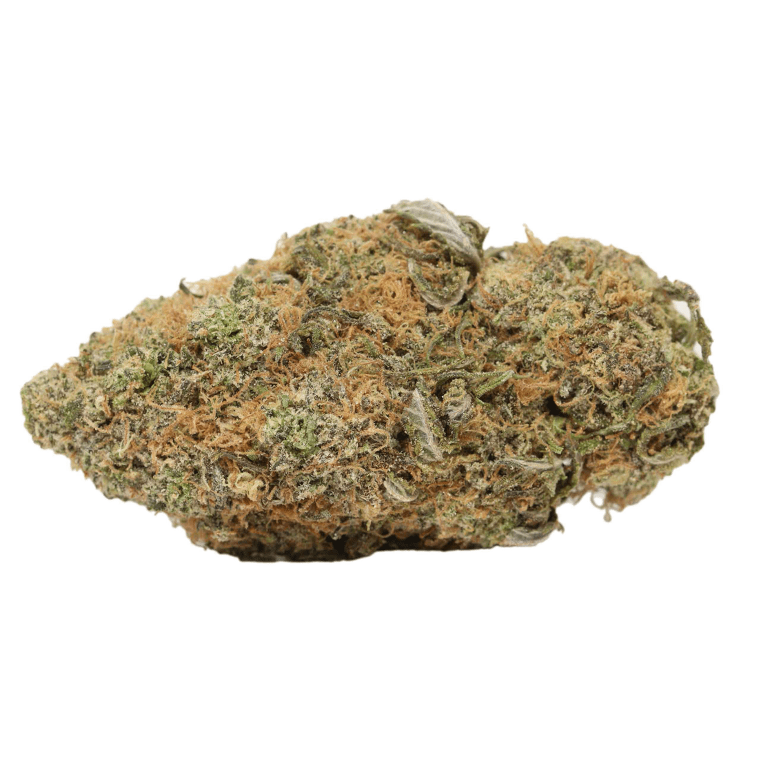 Gelato $50 oz
