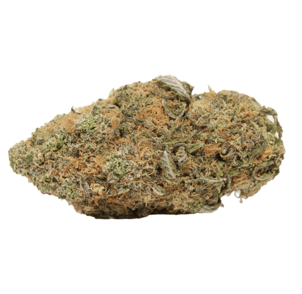 Gelato $50 oz