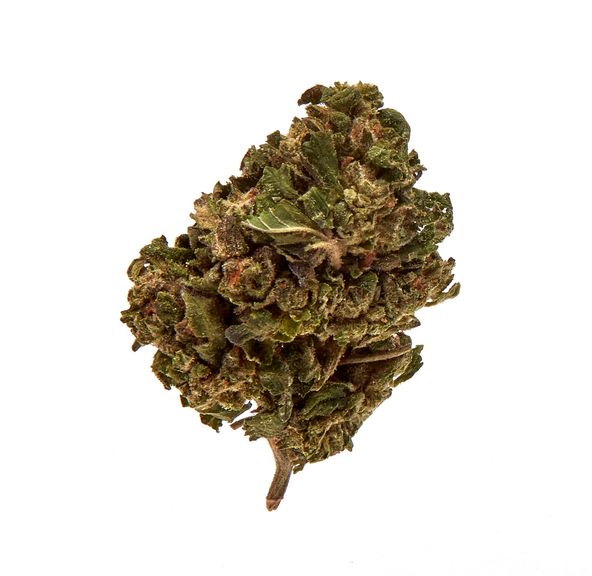 Space Breakers 14g