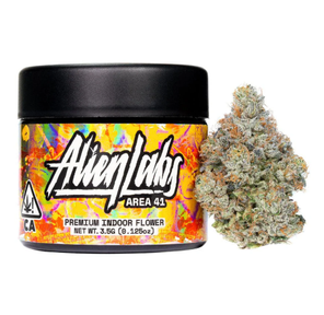 3.5G - Area 41 Indoor