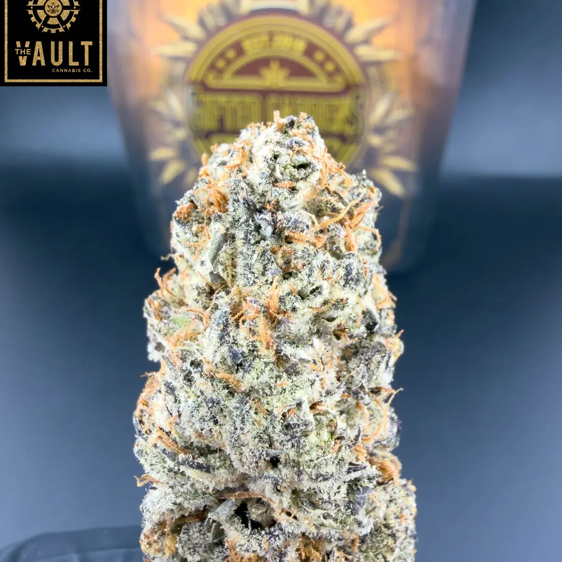 7G -GIFTED GARDENS | DANTE’S INFERNO (AAAA+)
