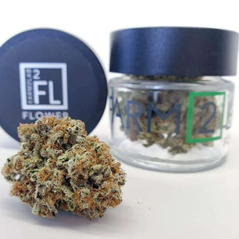Fendi Jar 1/8th