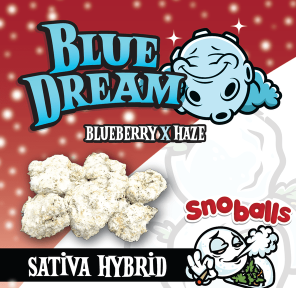 RR|$noballs|Blue Dream|Flower
