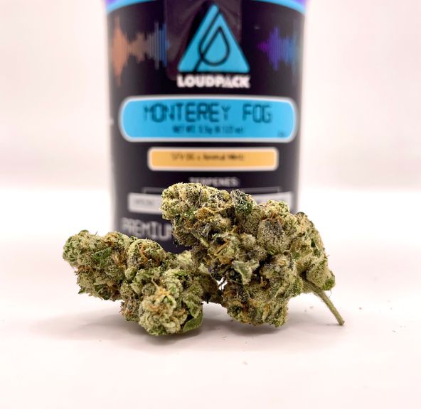 1/8 Monterey Fog (Indoor/29.19%/Indica) - Loudpack