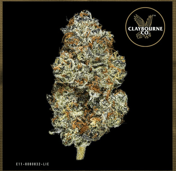 The Judge (3.5g) - Gold Cuts
