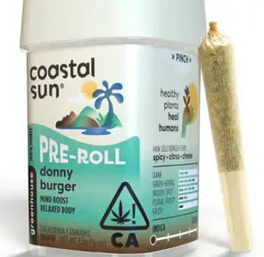 Coastal Sun - Donny Burger