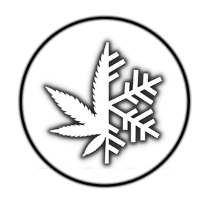 CBD Gummies - 40mg each - 400mg total - 10 pcs - Raspberry Lemonade