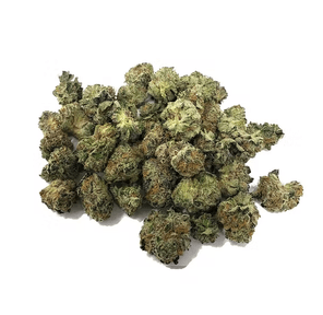 Grrranimals -  Premium Flower Jar Smalls