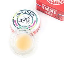[Punch] Badder - 1g - Purple Dream (I)