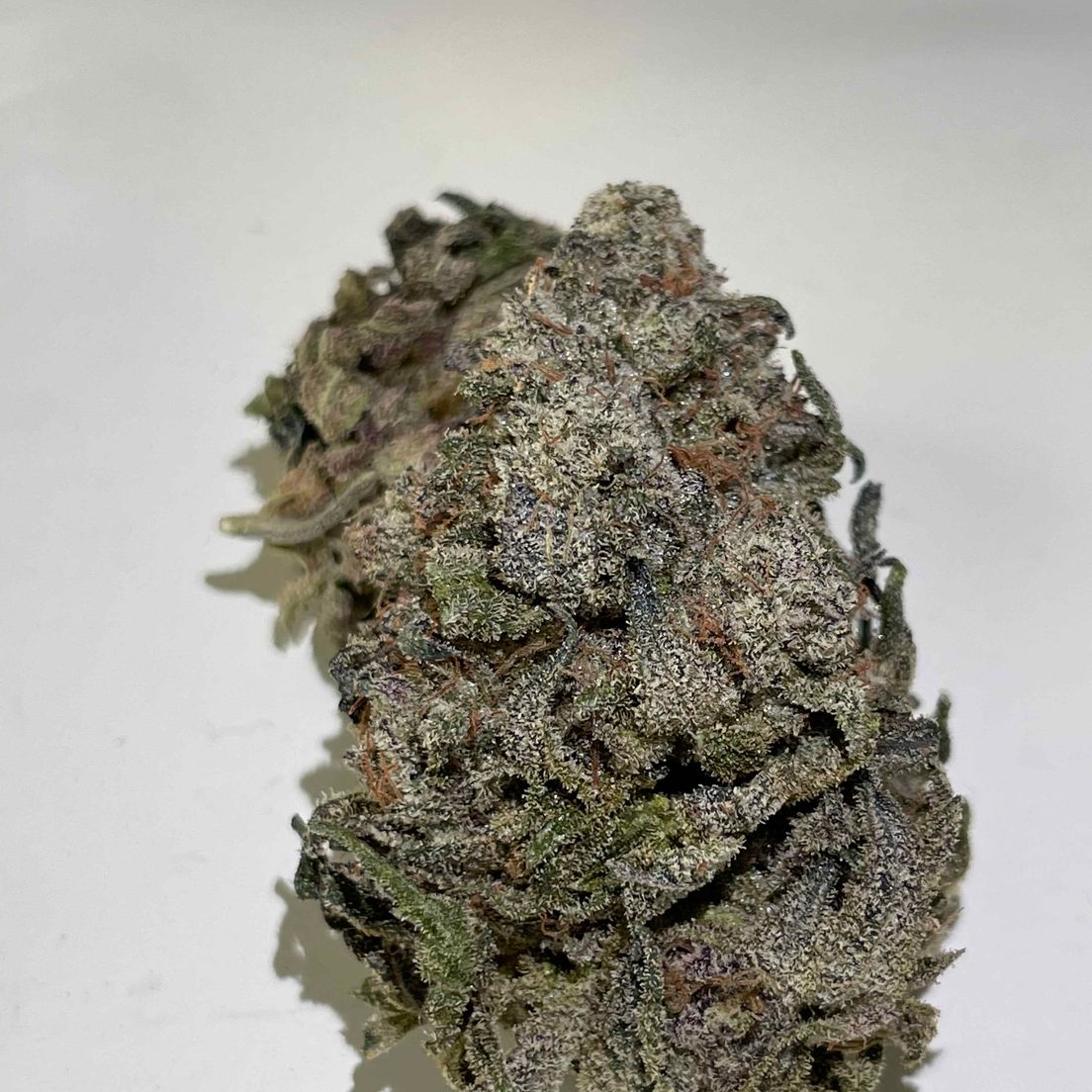 WEDDING RUNTZ **160 OZ SPECIAL**