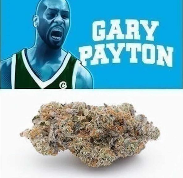 Cookies - Cookies - Gary Payton x Jealousy 3.5000g