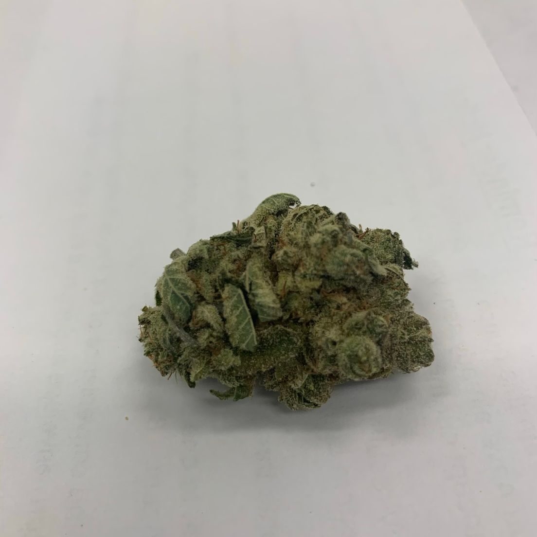 Gorilla Glue GG#4 (AAAA)