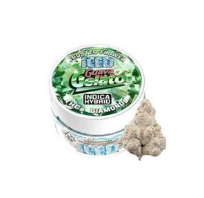 ICED Infused Flower Guava Gelato 3.5g