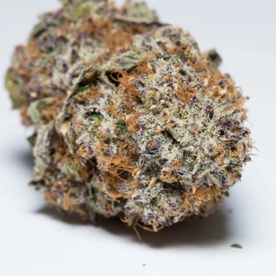 Platinum Girl Scout Cookies