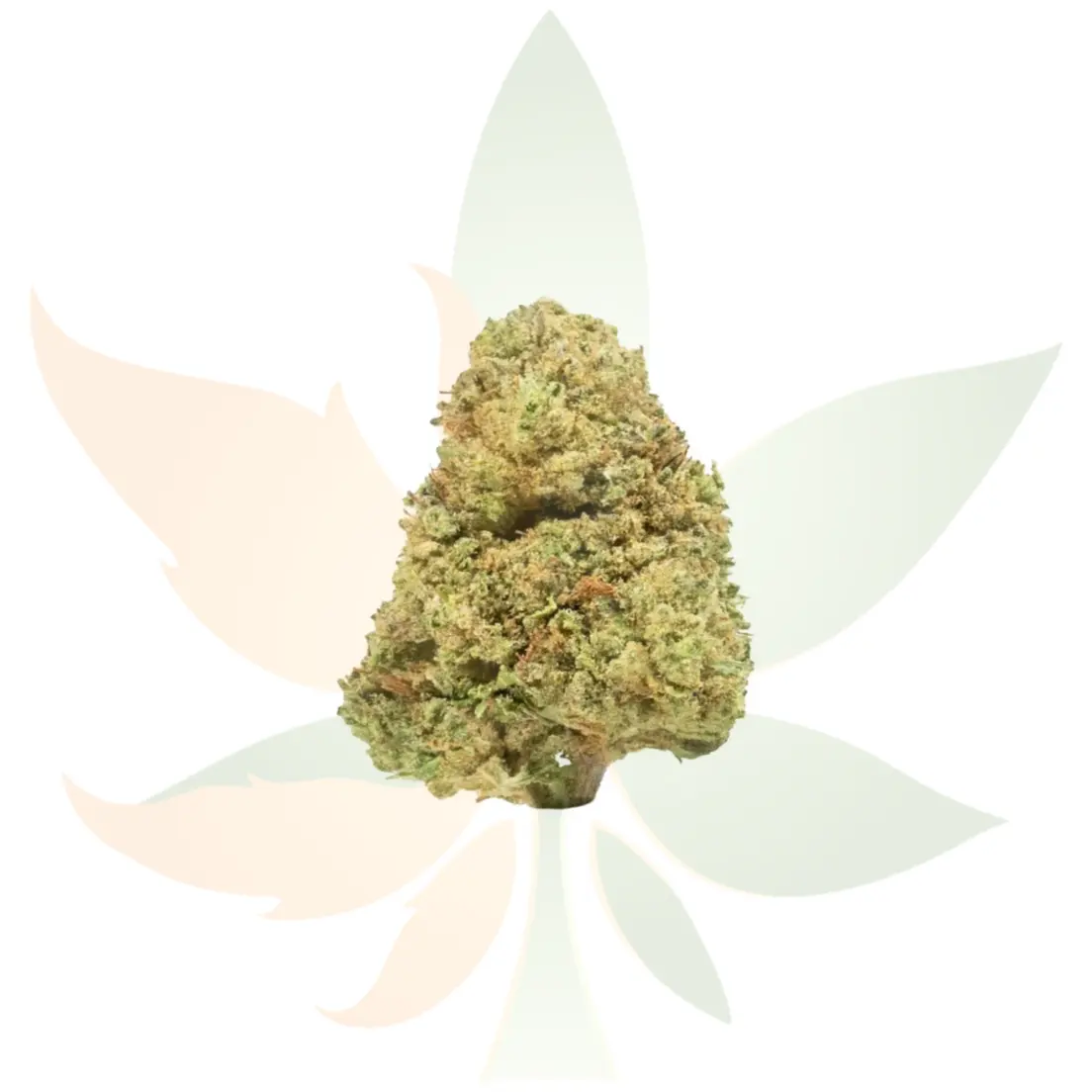 Apricot OG AA-Ounce
