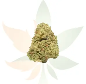 Apricot OG AA-Ounce