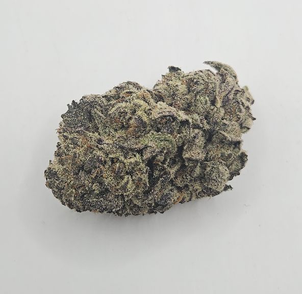 *Indoor - Purple Queen - 27% - IDH