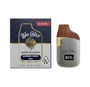 Big Chief - Raspberry Parfait AIO 1g Disposable