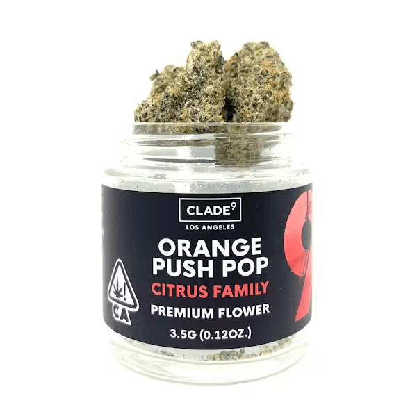 CLADE9- 7G ORANGE PUSH POP