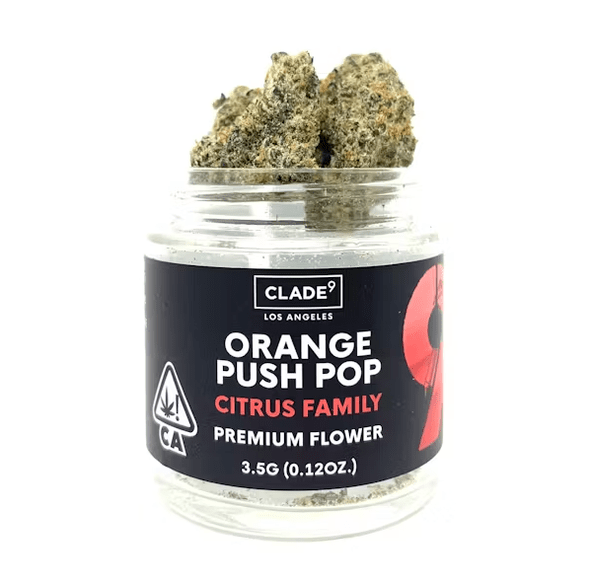 CLADE9- 7G ORANGE PUSH POP