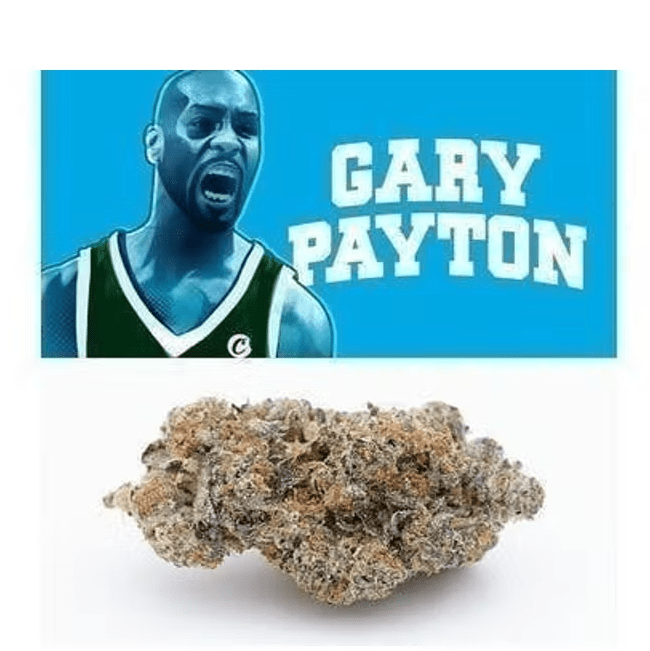 Gary Payton