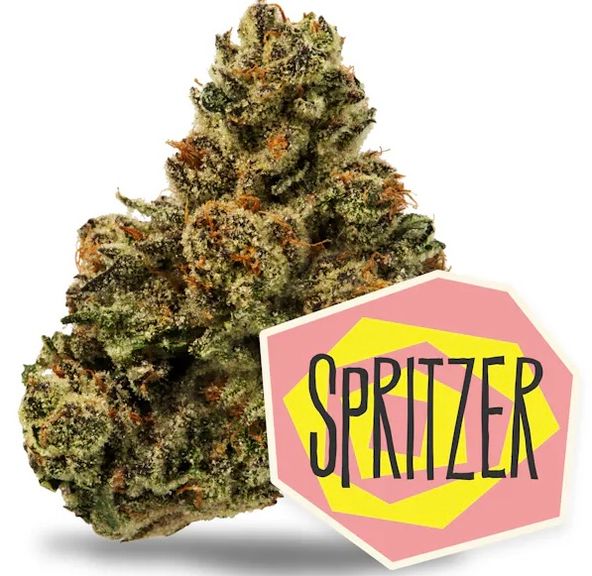 District Cannabis | Spritzer - Flower | 3.5g | Hybrid