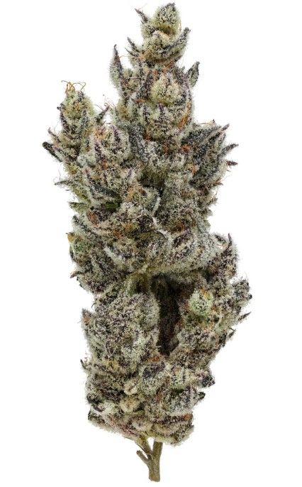 Fig Farms - Holy Moly! - 3.5g - Hybrid