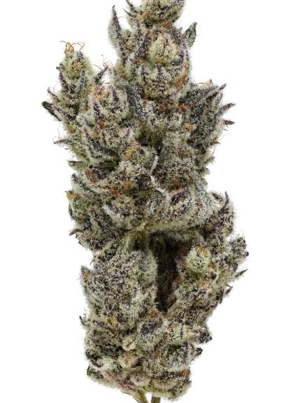 Fig Farms - Holy Moly! - 3.5g - Hybrid