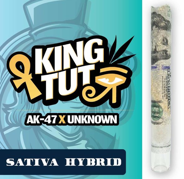 RR|Fancy Franklin|King Tut