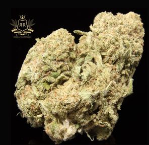 AAA | GATOR BREATH | 4oz FOR $160 ⭐️ NEW ARRIVAL ⭐️