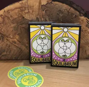 A. Equilibrium Genetics 12pk Regular Seeds - High Tide CBD