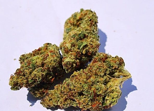 COLUMBIAN MOJITO THC 31.55% 1/2 Ounce