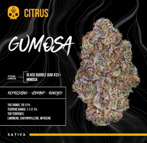 BOSKY GENETICS SMALL- 14G GUMOSA