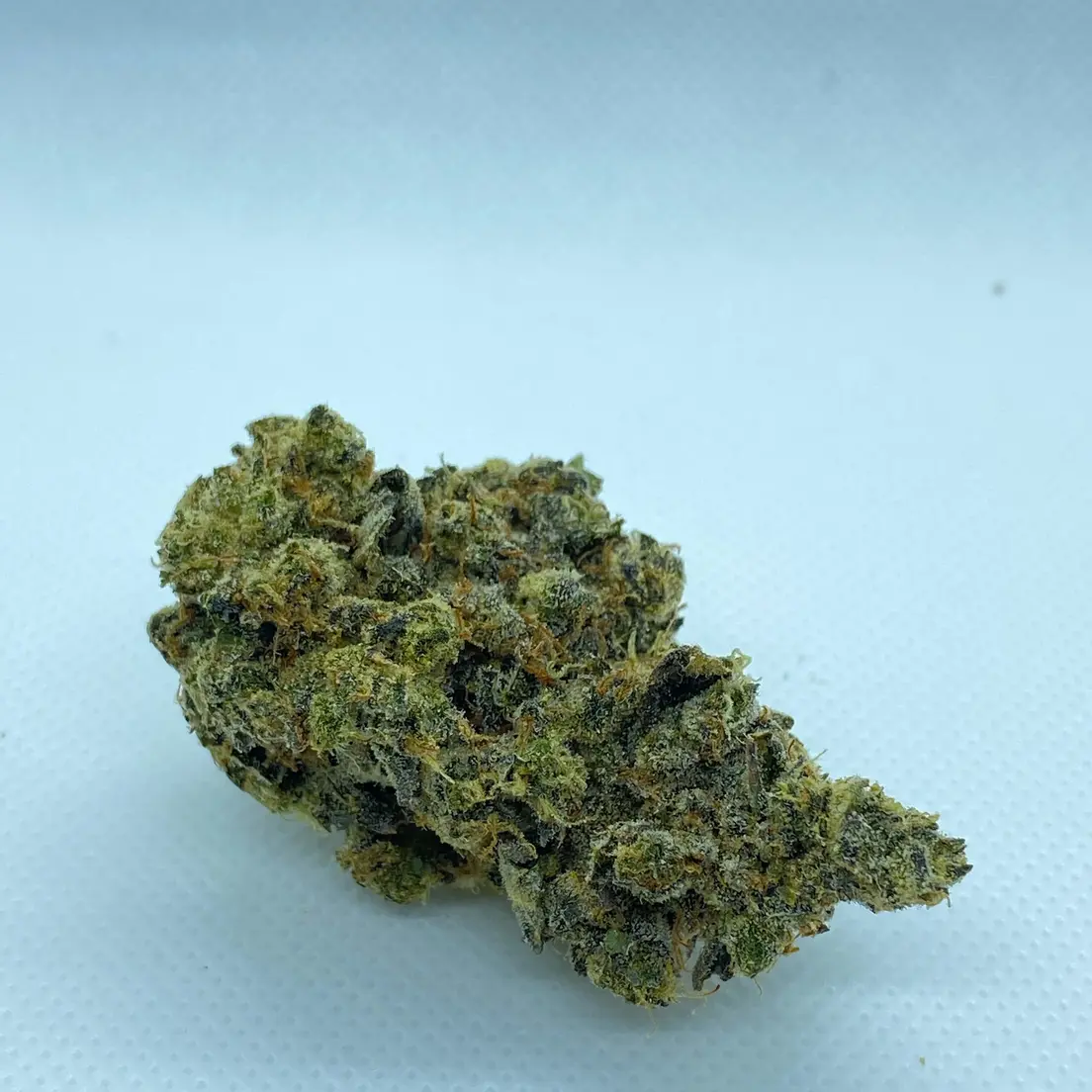 MINT CHOCOLATE CHIP